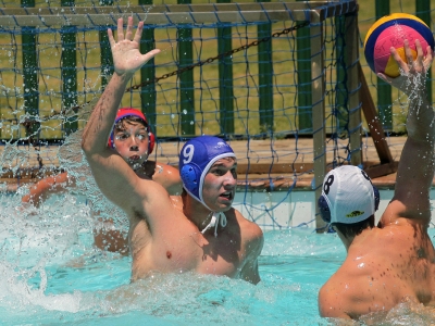 Su Topu Organizasyonları