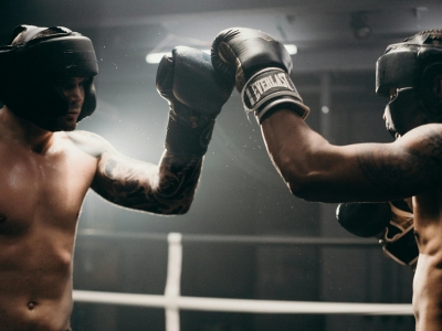 Boks Organizasyonları