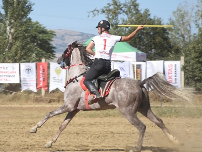 Cirit Organizasyonları