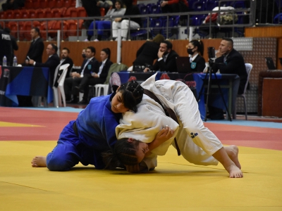 Judo Organizasyonları