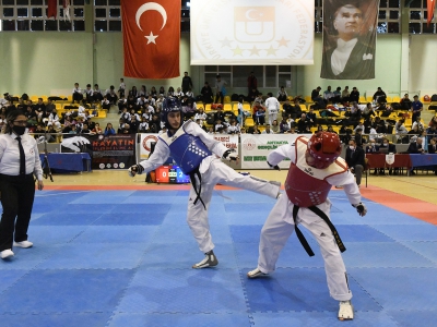 Tekvando Organizasyonları