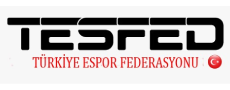 Türkiye Espor Federasyonu